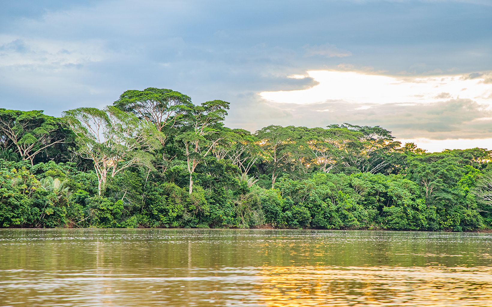 La esquina más verde del mundo Héctor Abad Faciolince